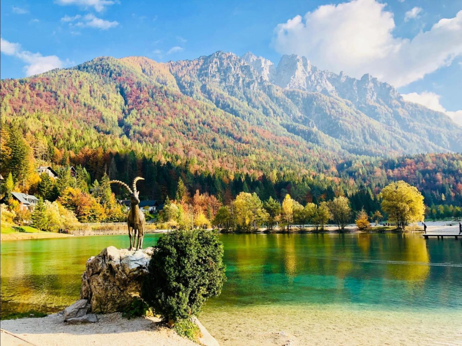 Apartma Gaja Kranjska Gora Exterior photo